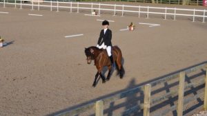 Shilstone Rocks Snow Flurry and Alice Wiseman Restricted Novice dressage Champion March 2014